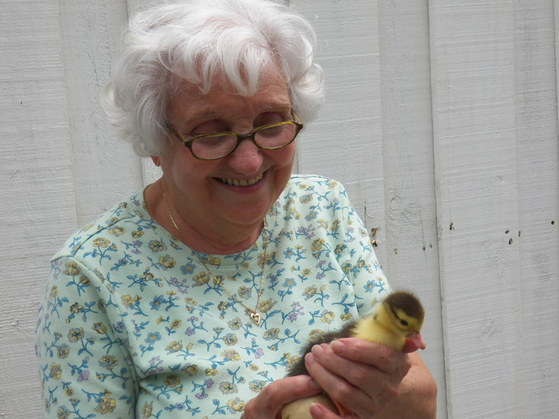 how-to-help-the-elderly-with-loneliness